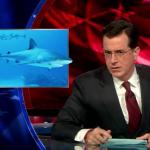 the.colbert.report.03.09.10.Annie Leonard_20100314033334.jpg