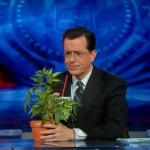 the.colbert.report.03.17.10.Nell Irvin Painter_20100329013857.jpg