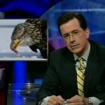 the_colbert_report_01_12_09_Anthony Romero_20090128023035.jpg