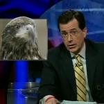 the_colbert_report_01_12_09_Anthony Romero_20090128022414.jpg