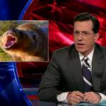 the.colbert.report.01.26.10.Paul Begala, Mika Brzezinski_20100131042039.jpg