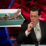 the.colbert.report.03.16.10.Rebecca Skloot_20100327033901.jpg