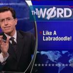 the.colbert.report.10.28.09.Brian Cox_20091201211638.jpg