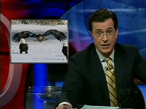 the_colbert_report_01_12_09_Anthony Romero_20090128022723.jpg