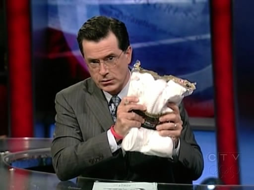 the.colbert.report.06.02.09.Katty Kay_20090706031452.jpg