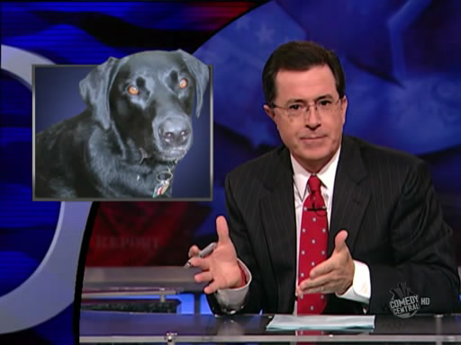 the.colbert.report.10.07.09.Alison Gopnik_20091020015145.jpg