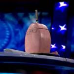 the.colbert.report.03.11.10.David Aaronovitch_20100315205448.jpg