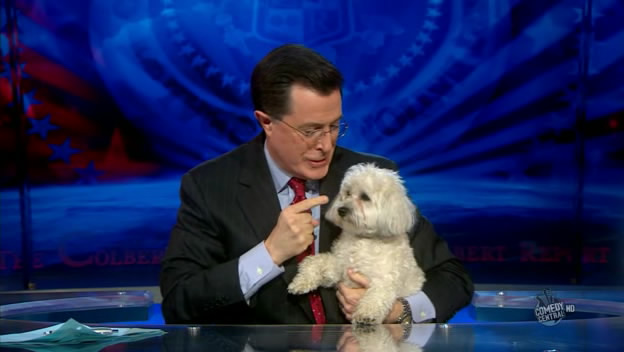 the.colbert.report.03.18.10.Mary Matalin_20100329025000.jpg