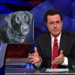 the.colbert.report.10.07.09.Alison Gopnik_20091020015145.jpg