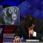 the.colbert.report.10.07.09.Alison Gopnik_20091020015156.jpg