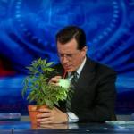 the.colbert.report.03.17.10.Nell Irvin Painter_20100329013742.jpg