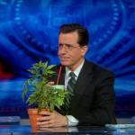 the.colbert.report.03.17.10.Nell Irvin Painter_20100329013844.jpg