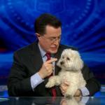 the.colbert.report.03.18.10.Mary Matalin_20100329025000.jpg