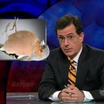 the.colbert.report.11.30.09.Dan Esty, Cevin Soling_20091229212913.jpg