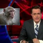 the.colbert.report.03.11.10.David Aaronovitch_20100315205709.jpg