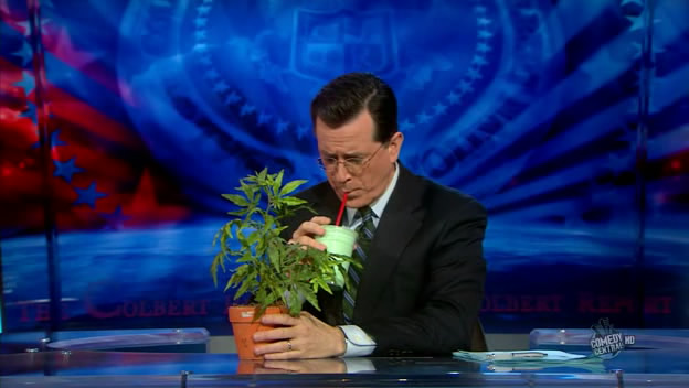 the.colbert.report.03.17.10.Nell Irvin Painter_20100329013734.jpg