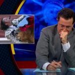 the.colbert.report.06.02.10.Lisa Miller_20100615042543.jpg