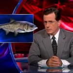 the.colbert.report.07.07.10.Steve Carell_20100708012409.jpg