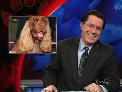 the_colbert_report_02_11_09_Stephen Pinker_20090311013820.jpg