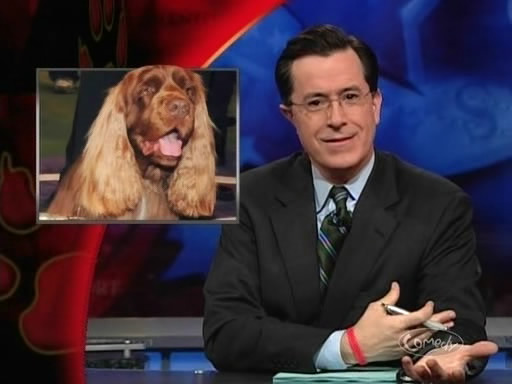 the_colbert_report_02_11_09_Stephen Pinker_20090311013831.jpg