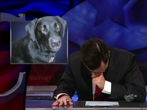 the.colbert.report.10.07.09.Alison Gopnik_20091020015156.jpg