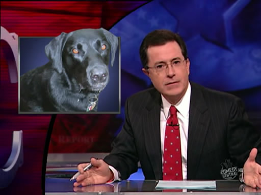 the.colbert.report.10.07.09.Alison Gopnik_20091020015222.jpg