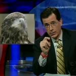 the_colbert_report_01_12_09_Anthony Romero_20090128022326.jpg