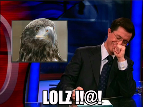 lolz eagle.jpg