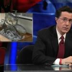 the_colbert_report_04_08_09_Phil Bronstein_20090410031954.jpg