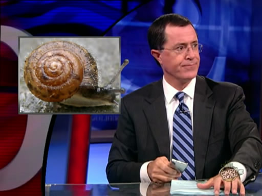 the.colbert.report.08.12.09.Mark Johnson_20090814024109.jpg