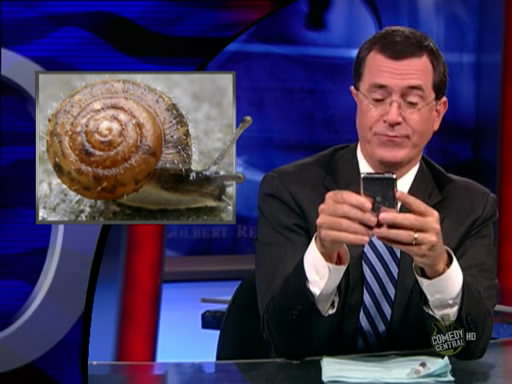 the.colbert.report.08.12.09.Mark Johnson_20090814024202.jpg