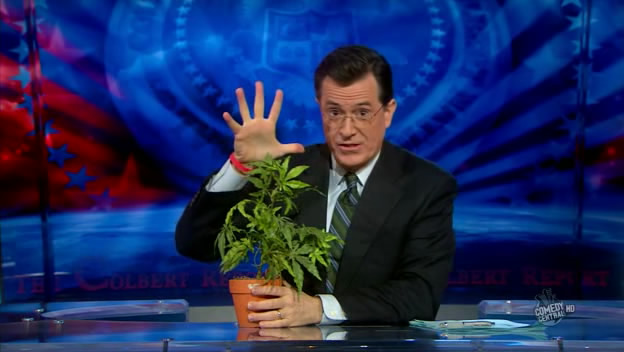 the.colbert.report.03.17.10.Nell Irvin Painter_20100329013726.jpg