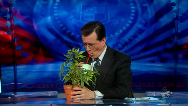 the.colbert.report.03.17.10.Nell Irvin Painter_20100329013804.jpg