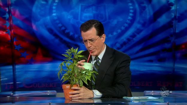 the.colbert.report.03.17.10.Nell Irvin Painter_20100329013836.jpg