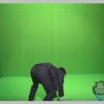 stephensbutt-greenscreen.jpg