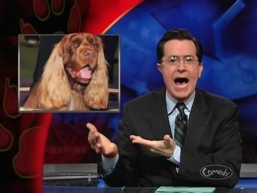 the_colbert_report_02_11_09_Stephen Pinker_20090311013725.jpg