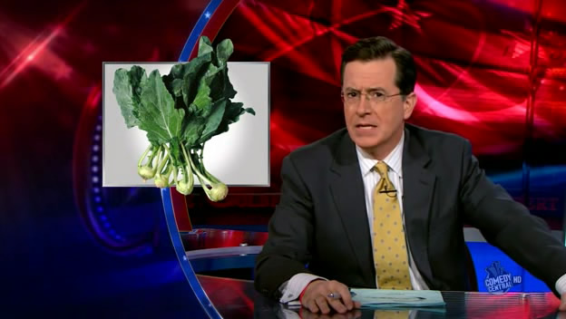 the.colbert.report.01.14.10.Kathleen Sebelius_20100120220907.jpg