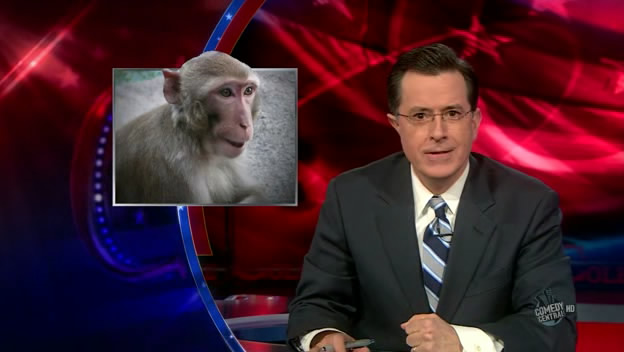 the.colbert.report.03.11.10.David Aaronovitch_20100315205709.jpg