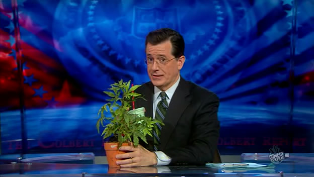 the.colbert.report.03.17.10.Nell Irvin Painter_20100329013812.jpg