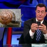 the.colbert.report.08.12.09.Mark Johnson_20090814024202.jpg