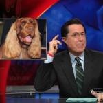 the_colbert_report_02_11_09_Stephen Pinker_20090311013740.jpg