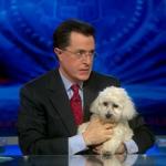 the.colbert.report.03.18.10.Mary Matalin_20100329025033.jpg