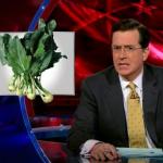 the.colbert.report.01.14.10.Kathleen Sebelius_20100120220907.jpg