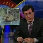 the.colbert.report.06.04.09.Dag Soderberg, David Byrne_20090706040645.jpg