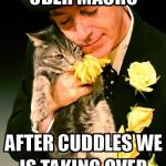 colbert cat uber macro.jpg