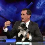 the.colbert.report.07.15.09.Douglas Rushkoff_20090720032833.jpg