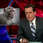 the.colbert.report.03.11.10.David Aaronovitch_20100315205556.jpg