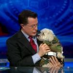 the.colbert.report.03.18.10.Mary Matalin_20100329025228.jpg