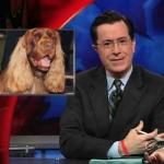 the_colbert_report_02_11_09_Stephen Pinker_20090311013831.jpg