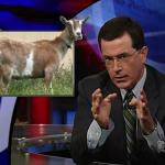 the.colbert.report.09.17.09.Frank Bruni_20090924022843.jpg